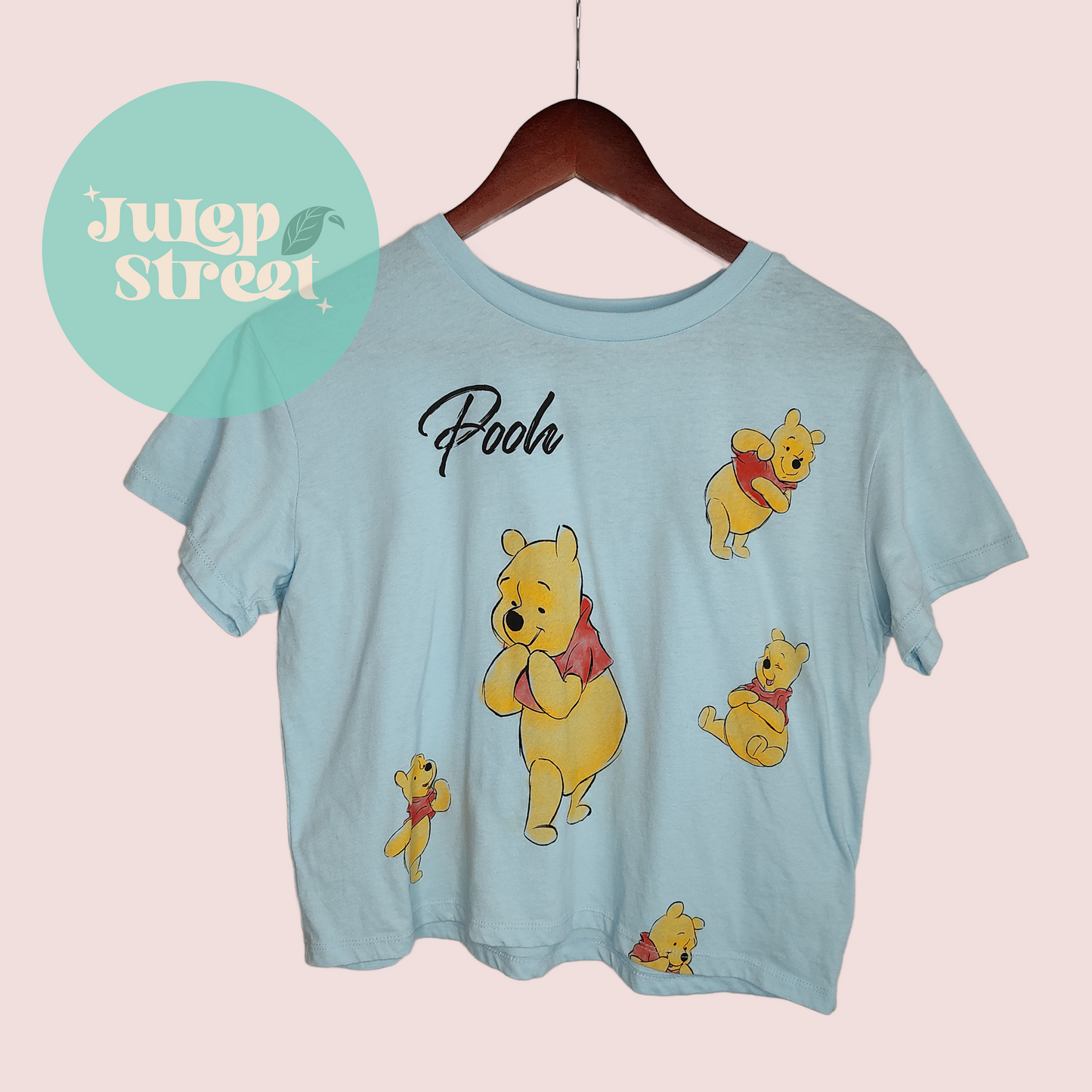 Blue Pooh (sku:25)