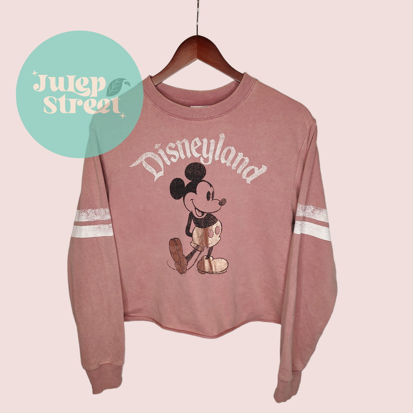 Classic Mickey Disneyland (8)